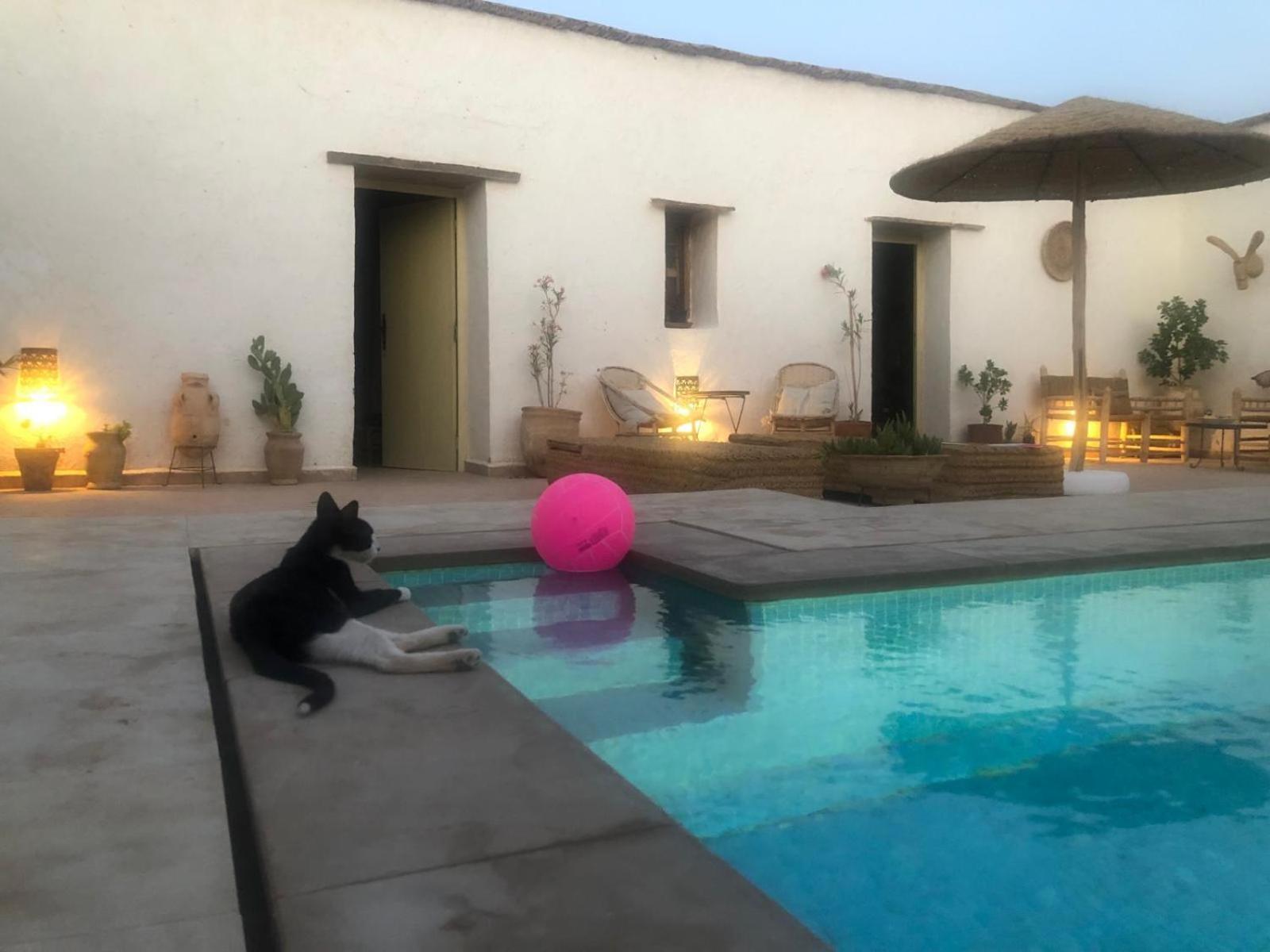 Hotel Casa Nel Sahara Merzane Exteriér fotografie